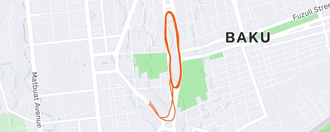 Map of the activity, Вечерний забег