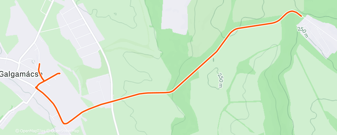 Map of the activity, Morning Run