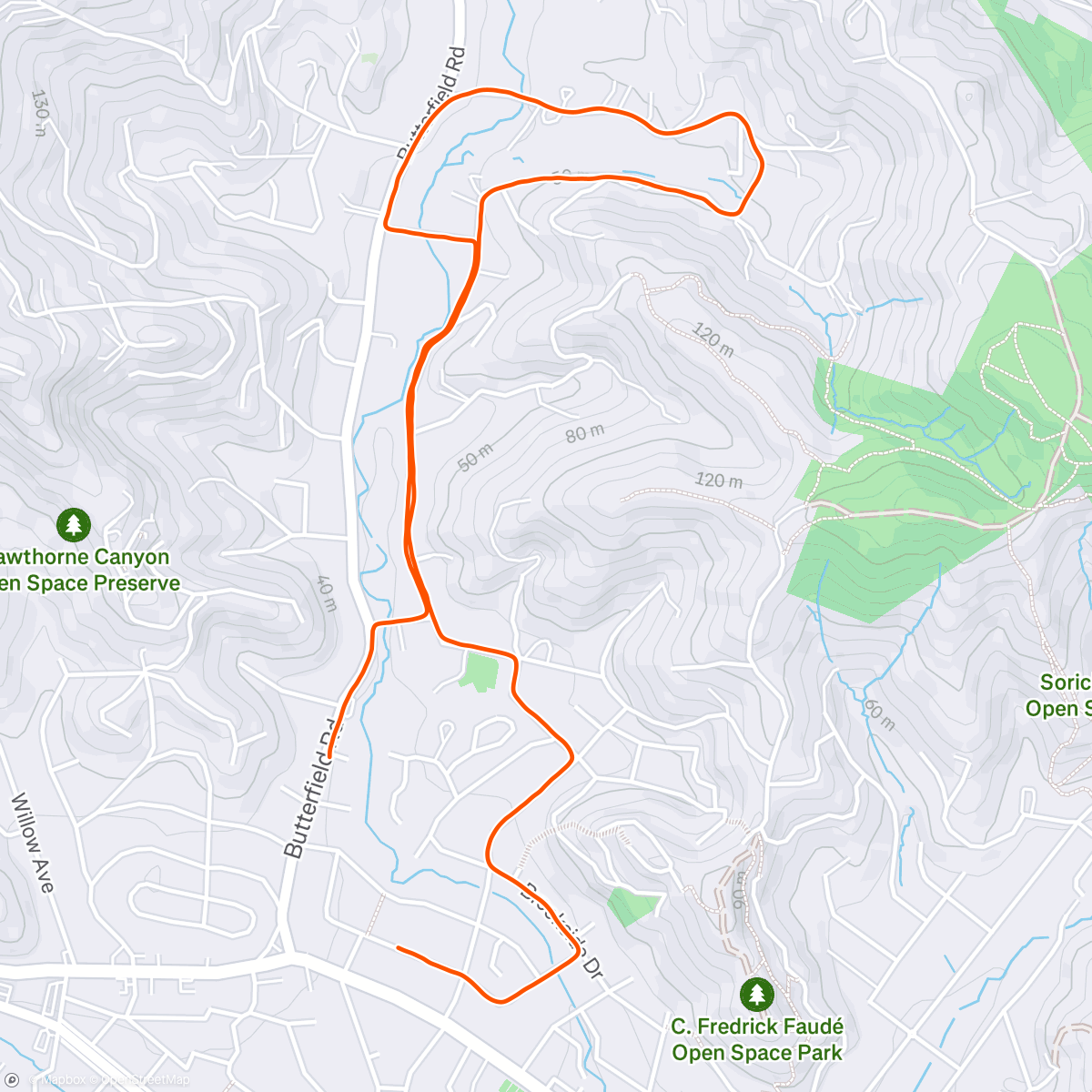 Map of the activity, Alameda Wile 🏃‍♂️ 🐕