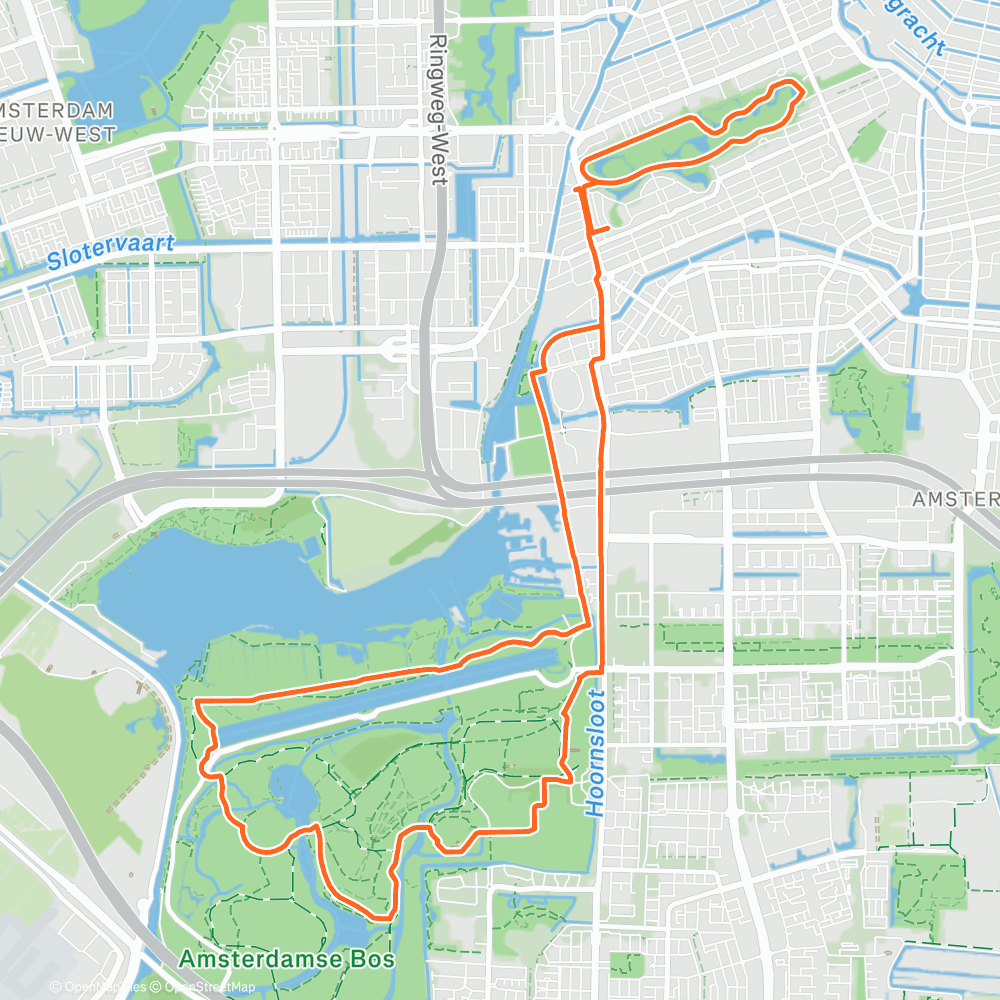 Map of the activity