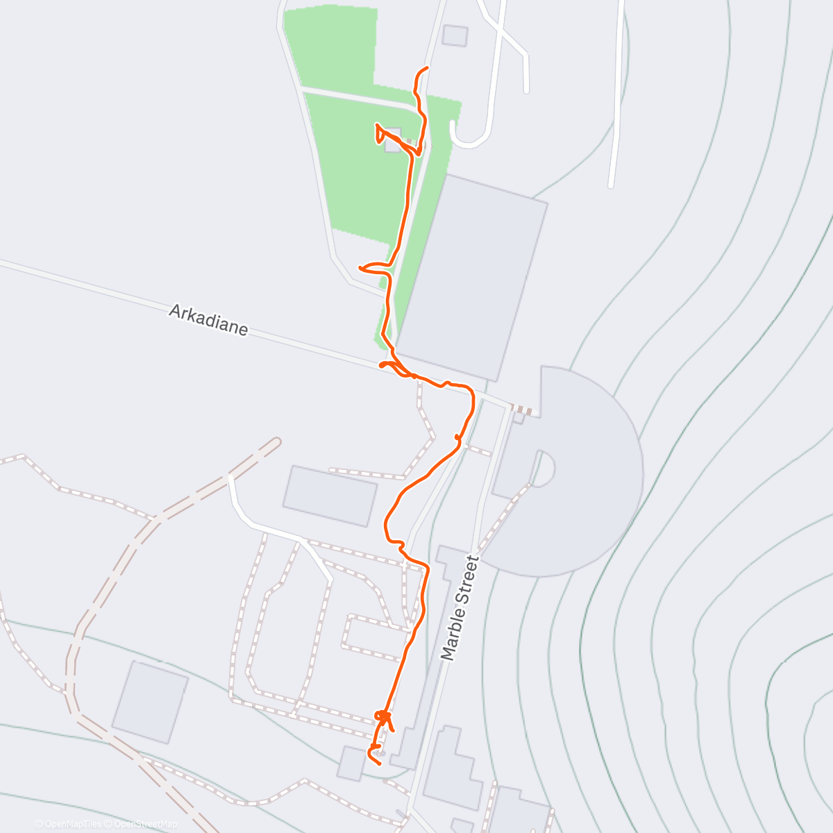 Карта физической активности (Ephesus)