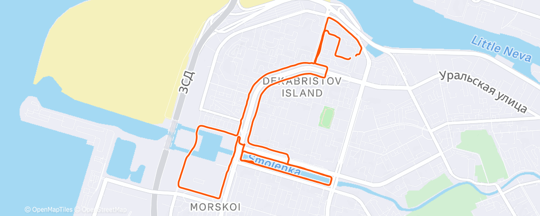 Карта физической активности (Утренний забег)