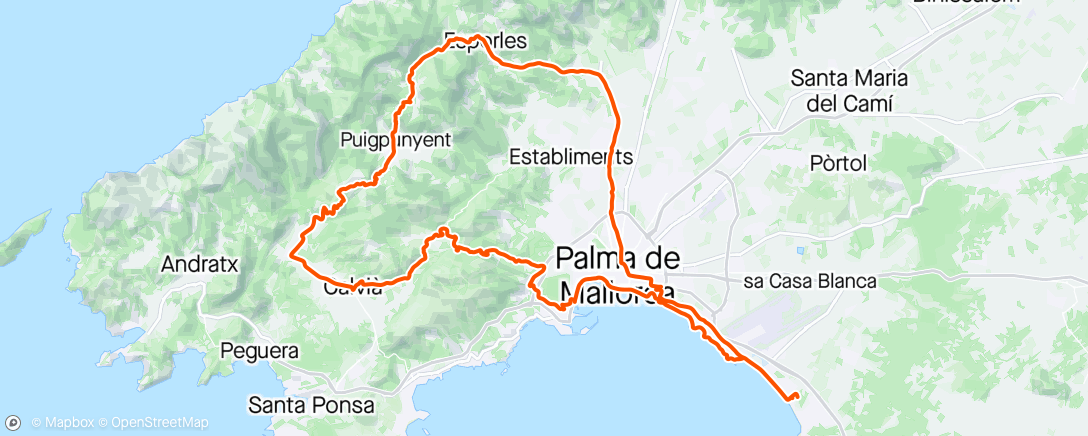 Map of the activity, Esporles