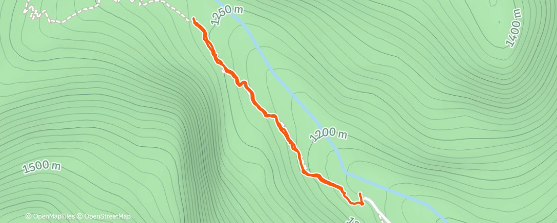 Карта физической активности (Órgãos)