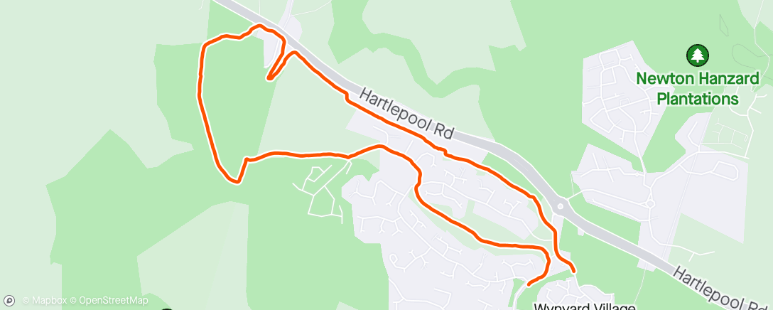 Map of the activity, Morning Walk with Tracey and Lottie dog 🐶  Wynyard Loop