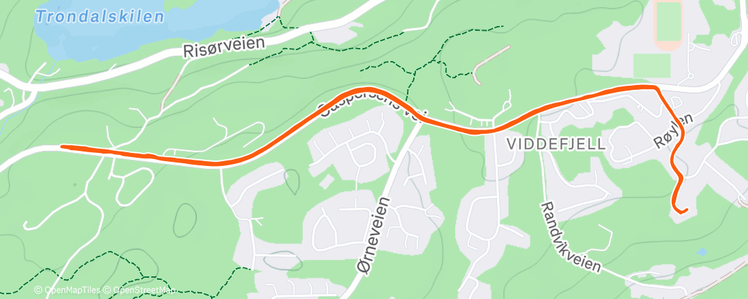 Карта физической активности (Morning Run)