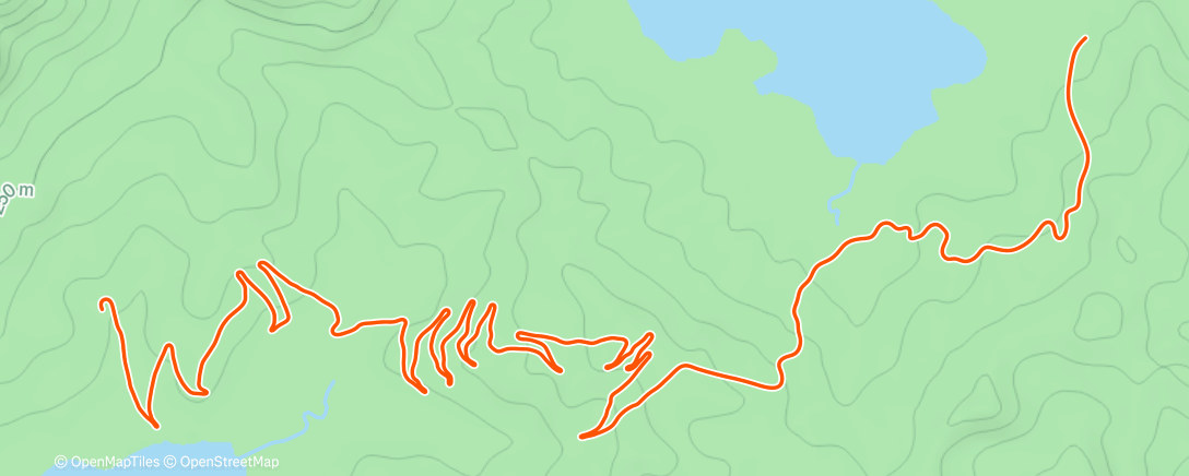 Карта физической активности (Zwift - Race: Dream Bike Race - Alpe du Zwift (B) on Road to Sky in Watopia)