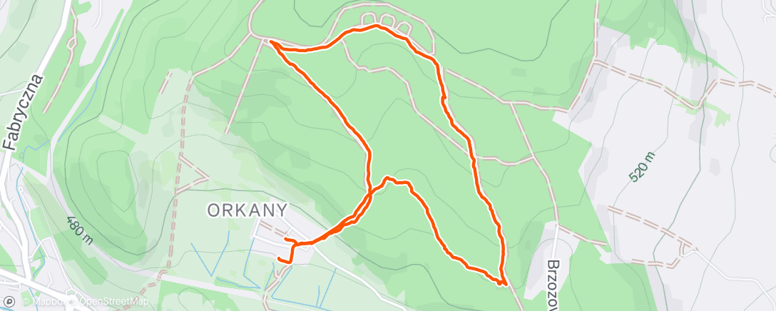 Map of the activity, Afternoon Walk