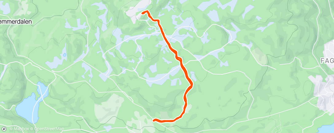 Карта физической активности (Night Hike)