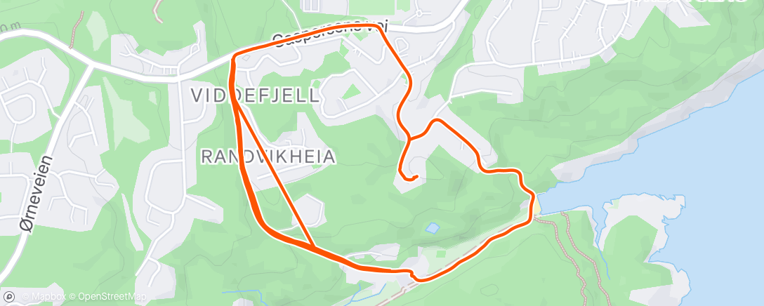 Map of the activity, Morning Run