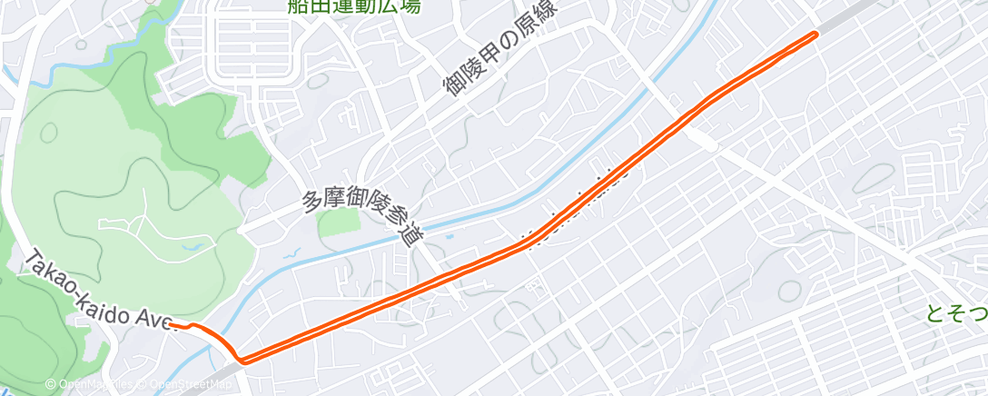 Map of the activity, Coco’s