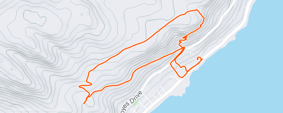 Map of the activity, Morning Trail Run