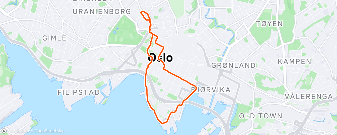 Map of the activity, Afternoon Run