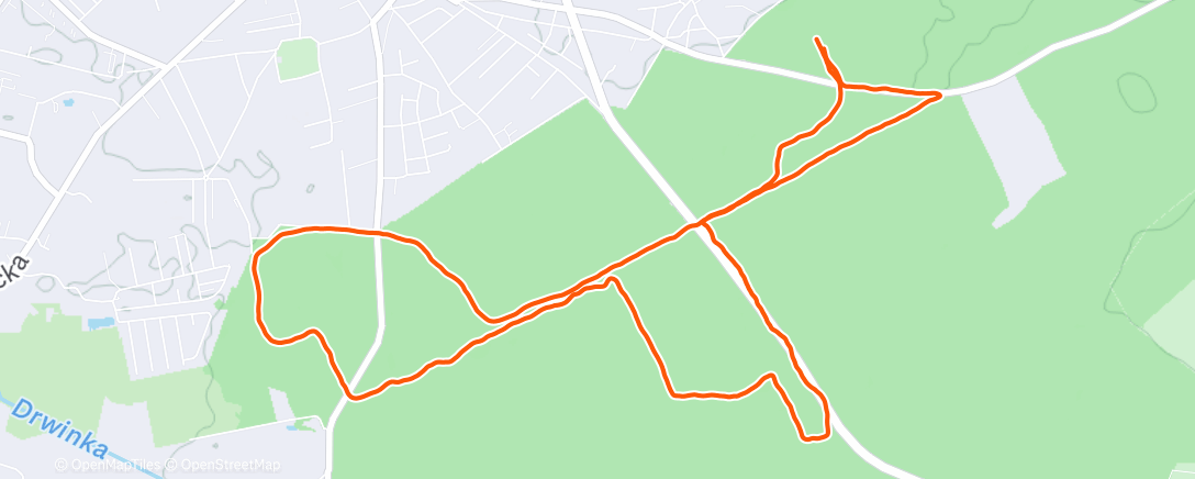 Map of the activity, Morning Run
