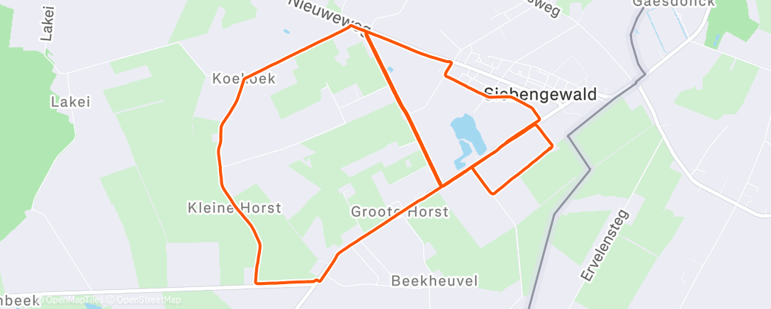 Map of the activity, Morning Run