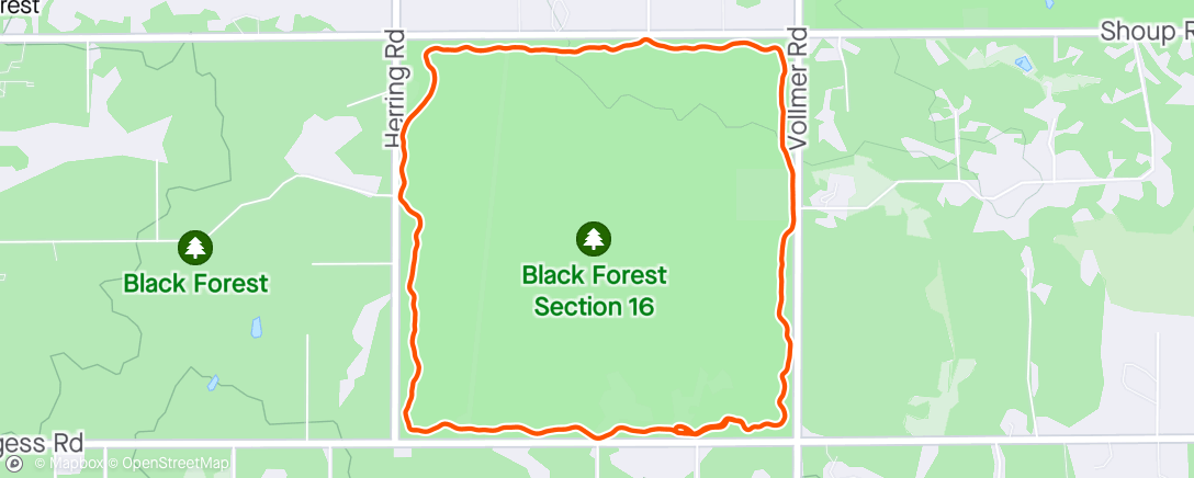 Mapa da atividade, Black Forest Section 16