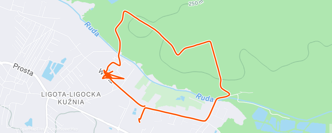 Map of the activity, Afternoon Walk