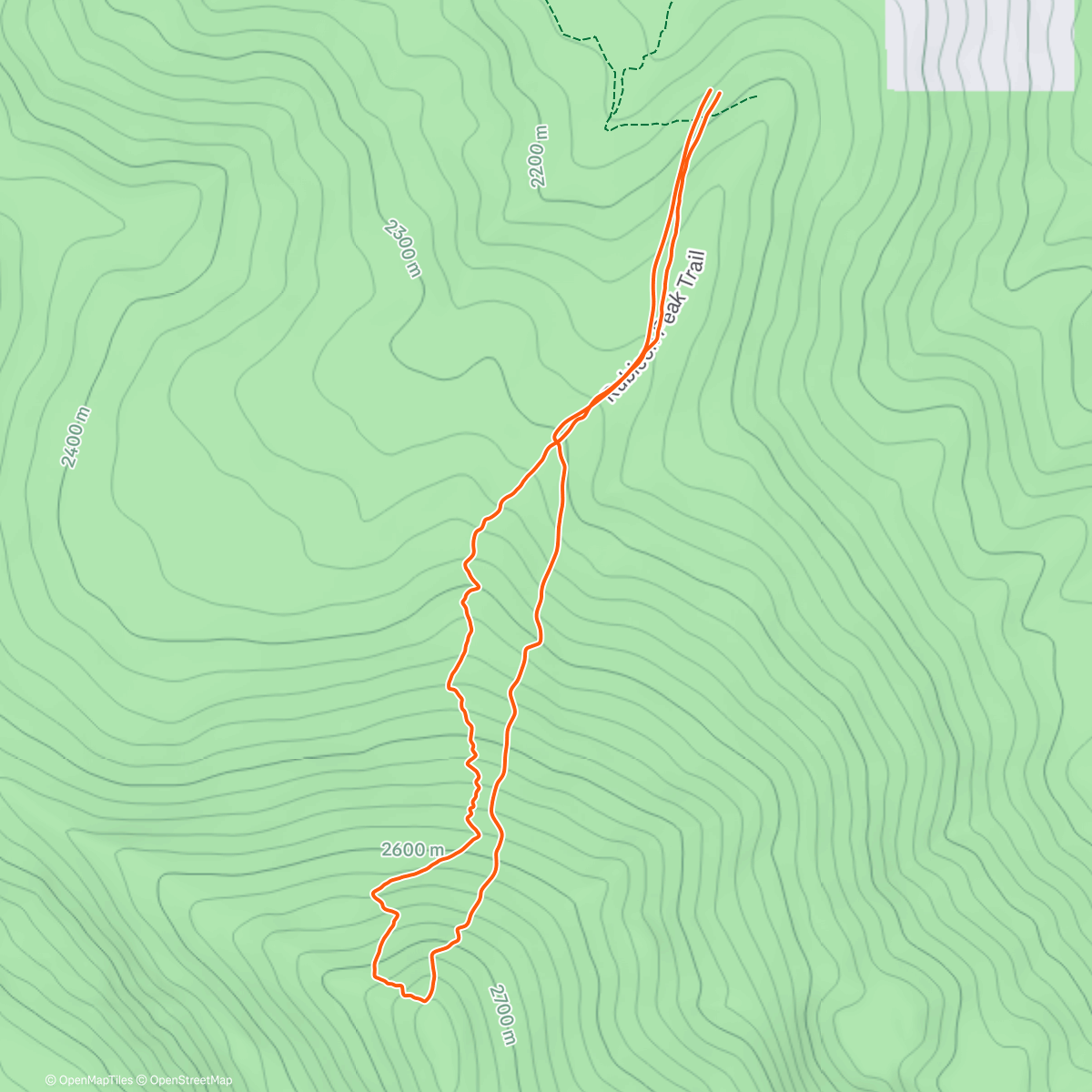 アクティビティ「Rubi 💖」の地図