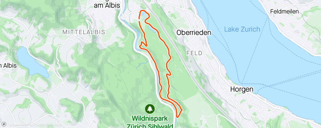 Mapa da atividade, Sihltaler Frühlingslauf