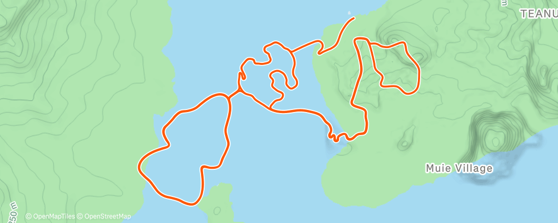 Карта физической активности (Zwift - Ocean Lava Cliffside Loop in Watopia)