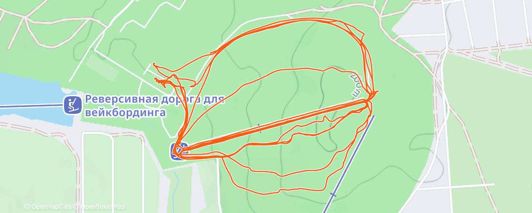 Карта физической активности (Полуденная тренировка)