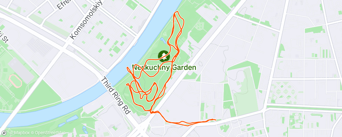 Map of the activity, Утренний забег