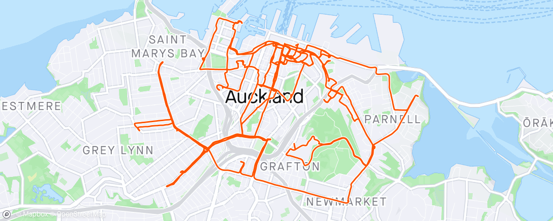 Mapa de la actividad (Pedalada de bicicleta elétrica matinal)