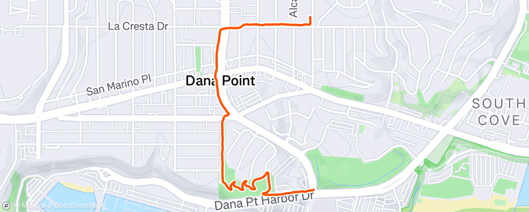 Map of the activity, Morning Walk
