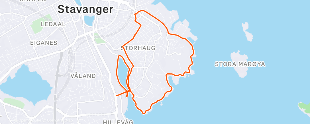 Карта физической активности (Morning Run)