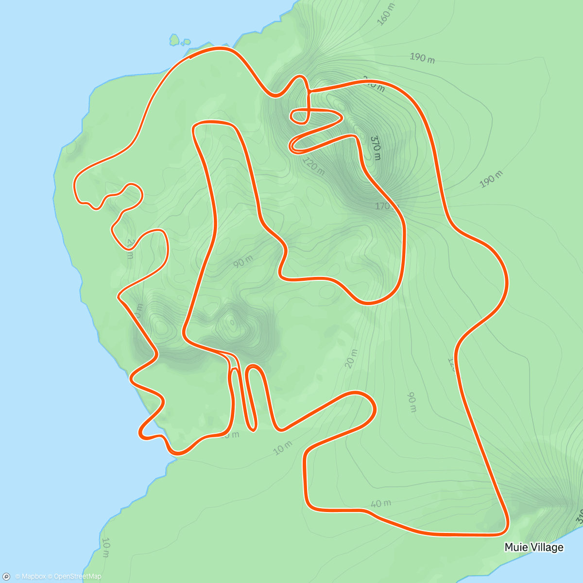 Map of the activity, Zwift - Figure 8 in Watopia