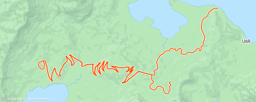 Map of the activity, Alpe du’Zwift with Liam