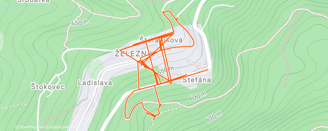 Карта физической активности (Morning Run)