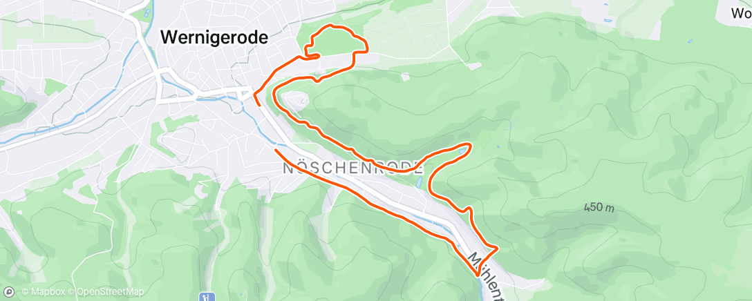 Map of the activity, Morning Run