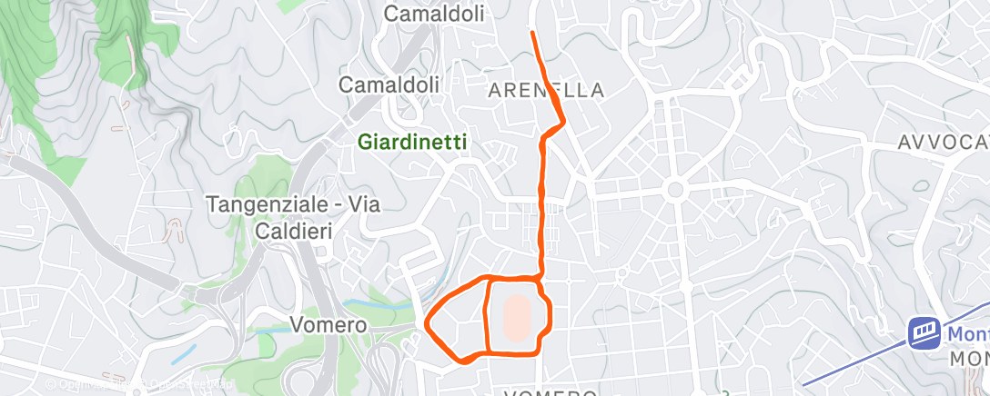 Map of the activity, FK 1 + 1