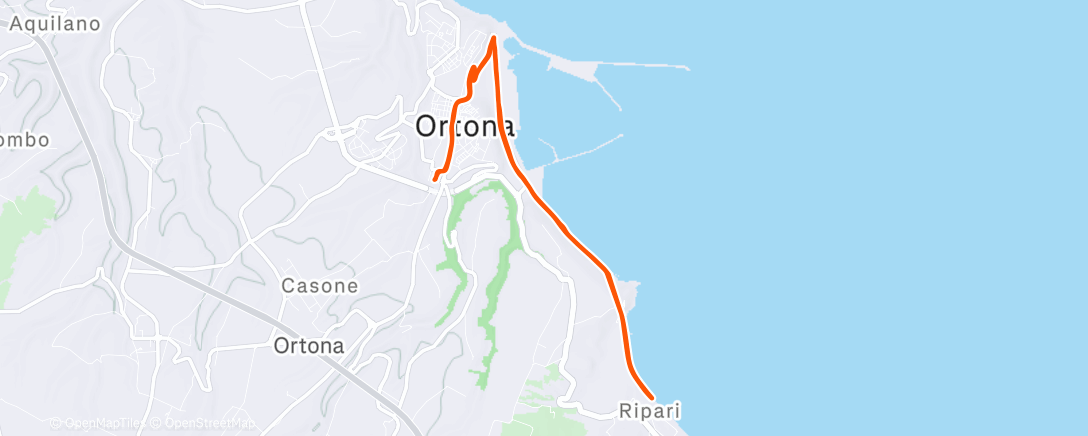 Map of the activity, Risc + Fartlek 10x(2' CV + 1' CL) + defa