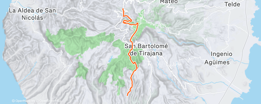 Map of the activity, Morning Trail Run