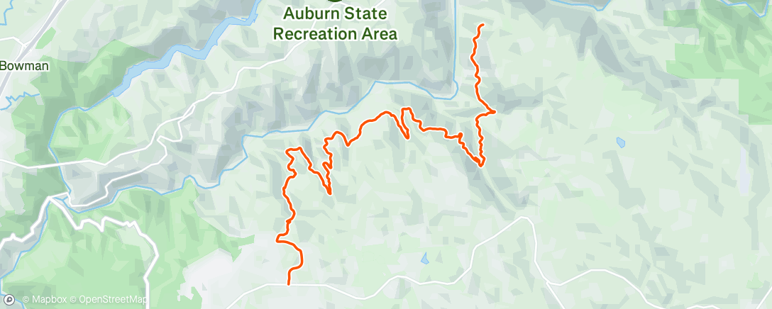 Map of the activity, swamp angels 👼