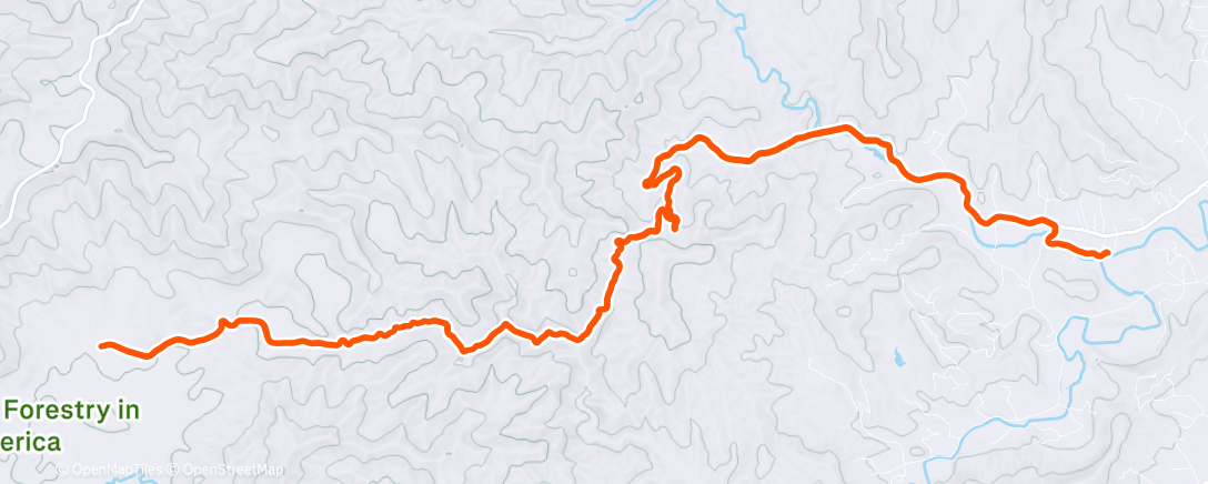 Map of the activity, Day 24 - still a bit dizzy, but so much better