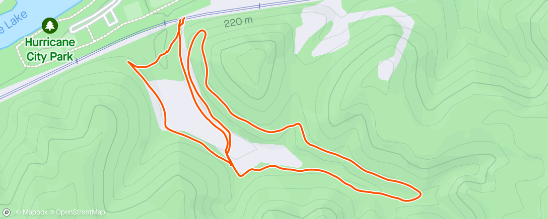 Map of the activity, dog running.