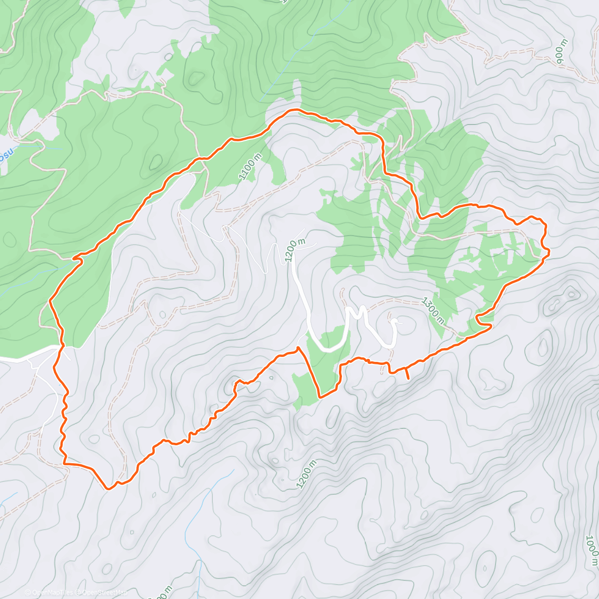 Карта физической активности (Easy run)