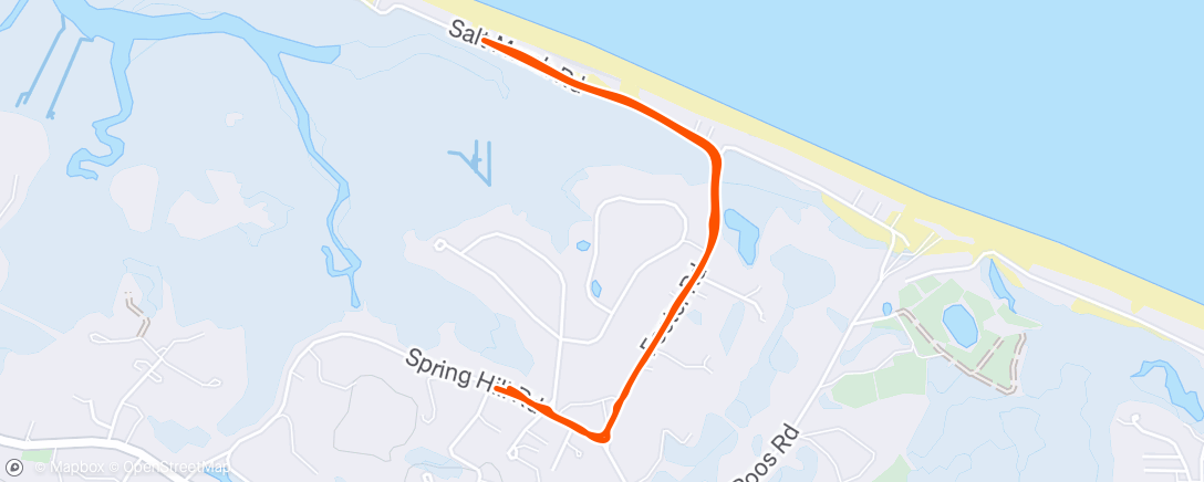 Map of the activity, Morning Run