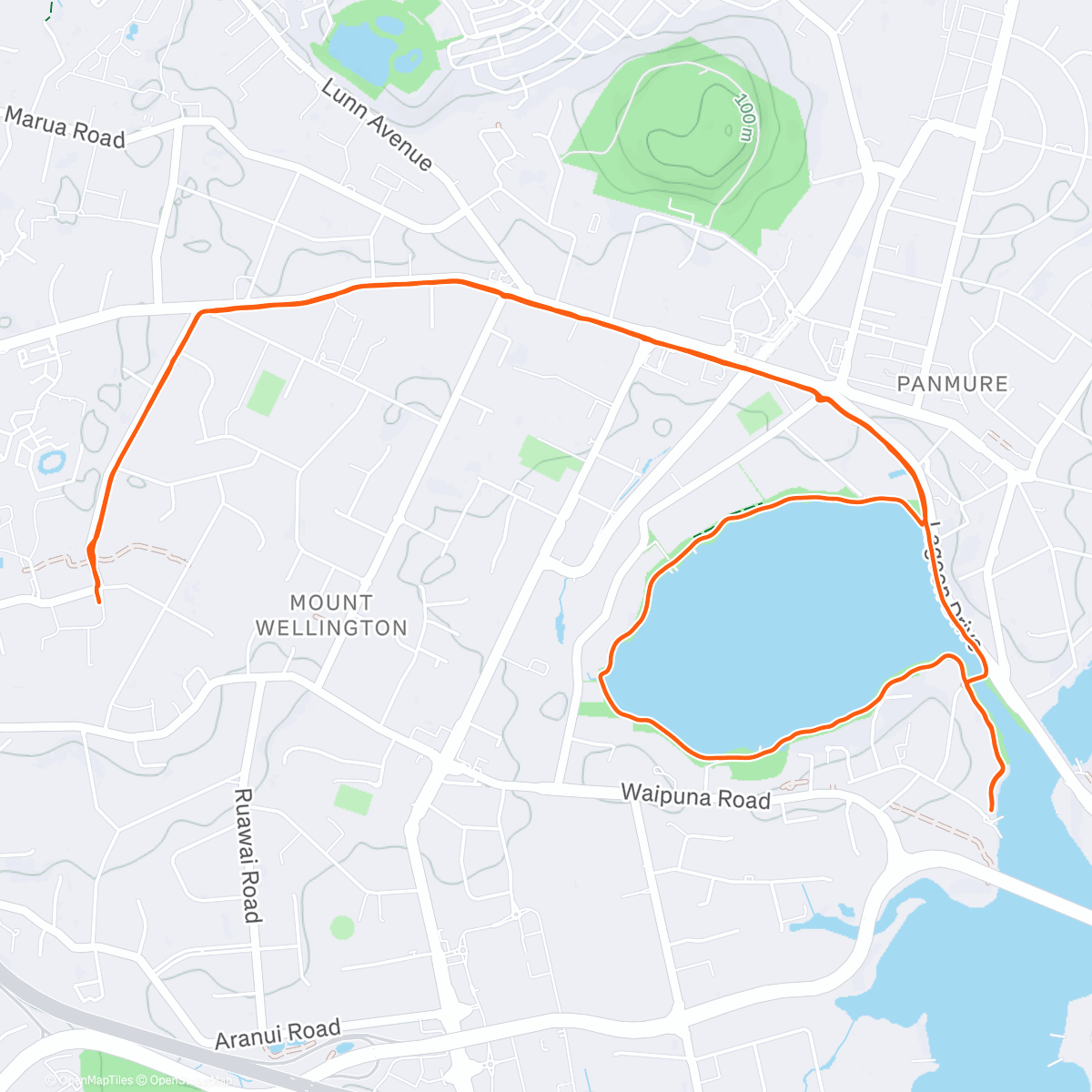 Карта физической активности (Tamaki tours)