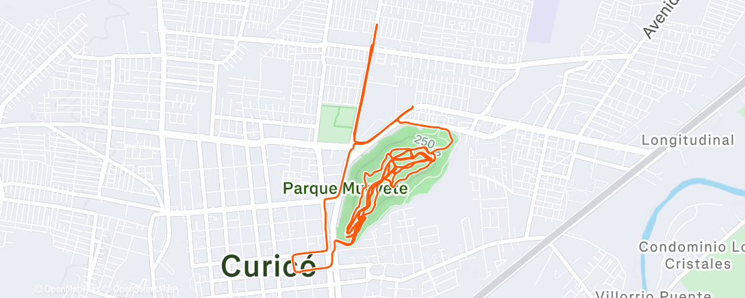 Map of the activity, Cerro Condell
