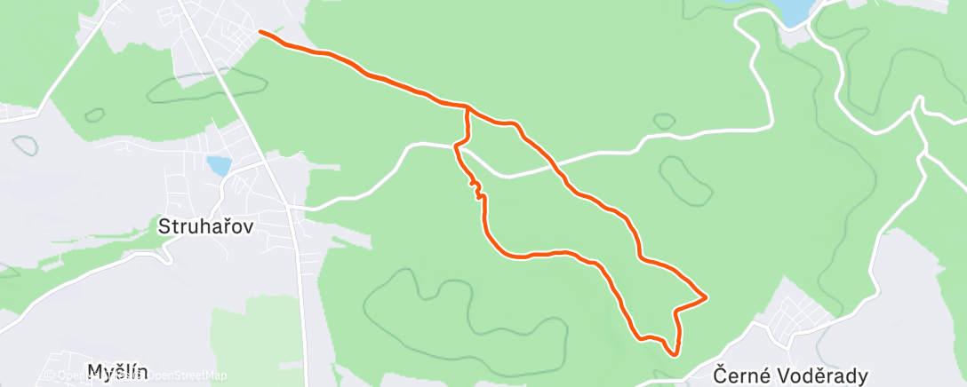 Карта физической активности (Afternoon Walk)