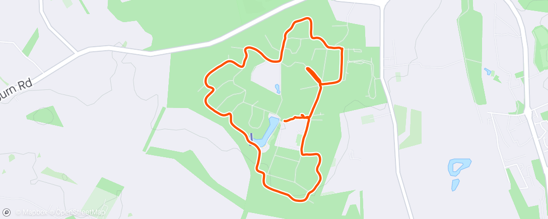 Map of the activity, The furthest I could get without laps 😂 downside of here is lack of dogs to spot