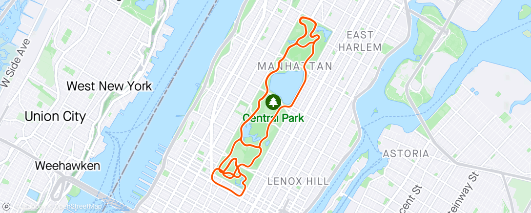 Map of the activity, Zwift - The McCarthy Special in New York