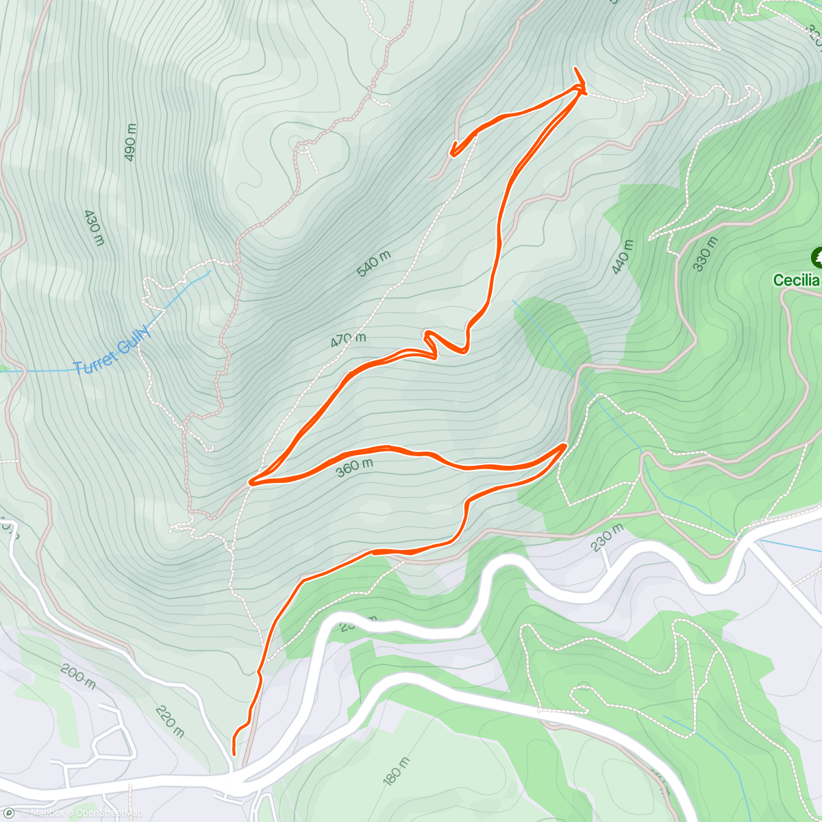 Map of the activity, Constantia Morning Hike