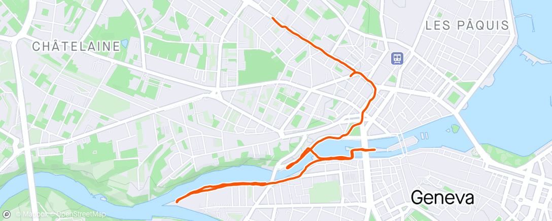 Map of the activity, Geneva. Run 2