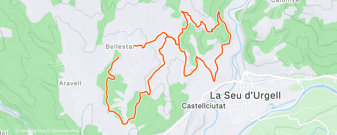 Карта физической активности (Afternoon Trail Run)