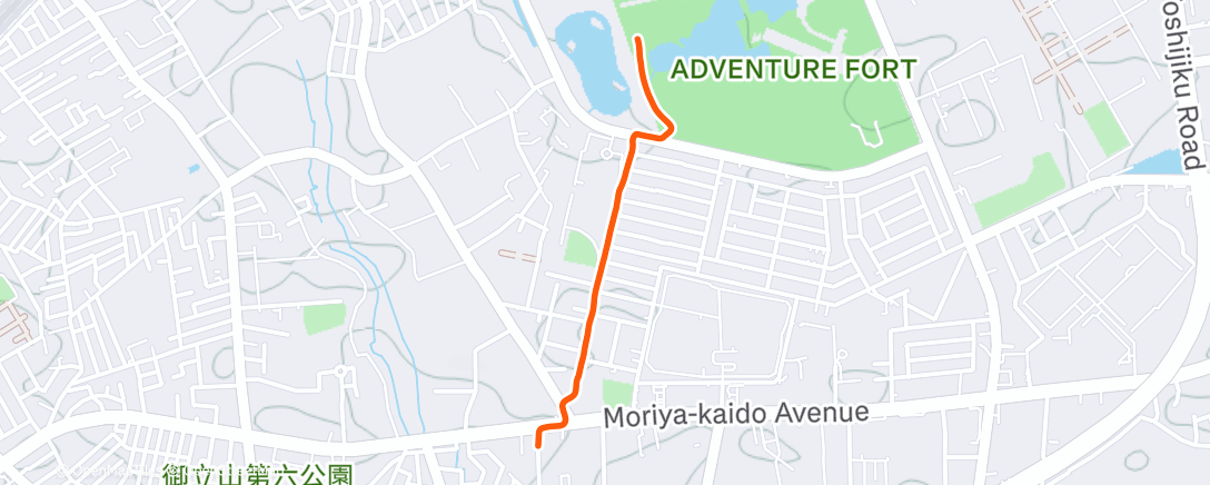 Map of the activity, Morning Run